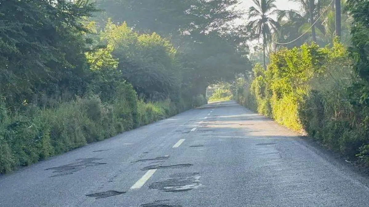 Baches en la carretera Acapulco-Zihuatanejo